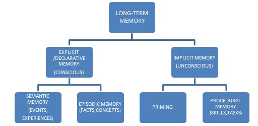 Declarative Memory Chart